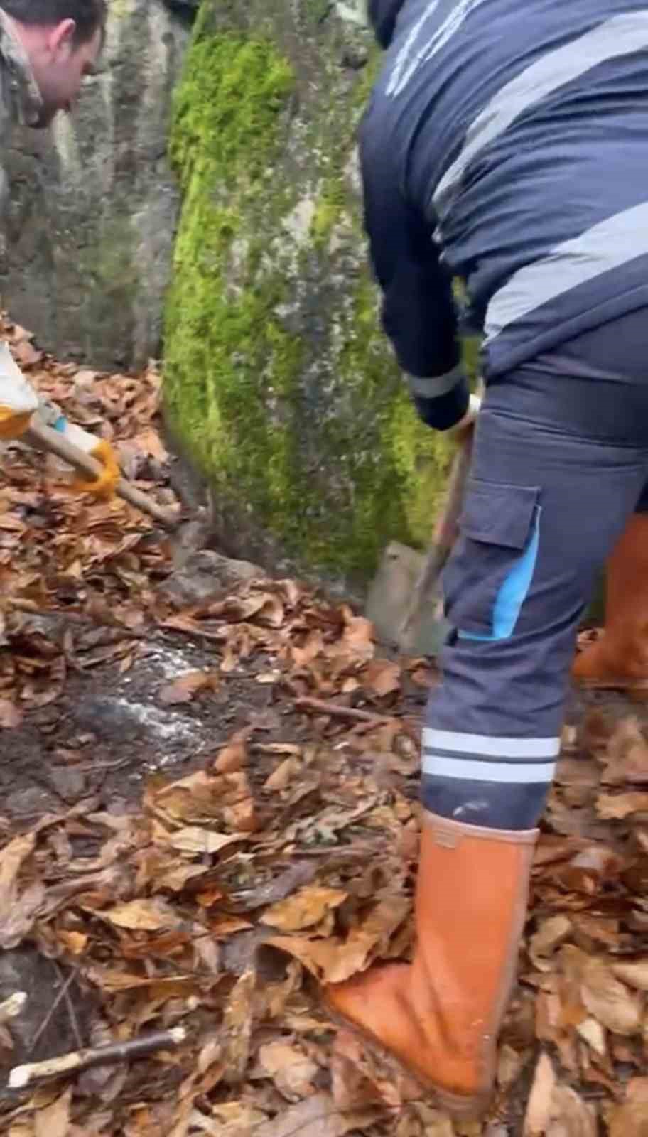 cesedi ormana gomup mahkemede birbirini suclayan kardesler cezadan kurtulamadi 3 Jn8Jz77H