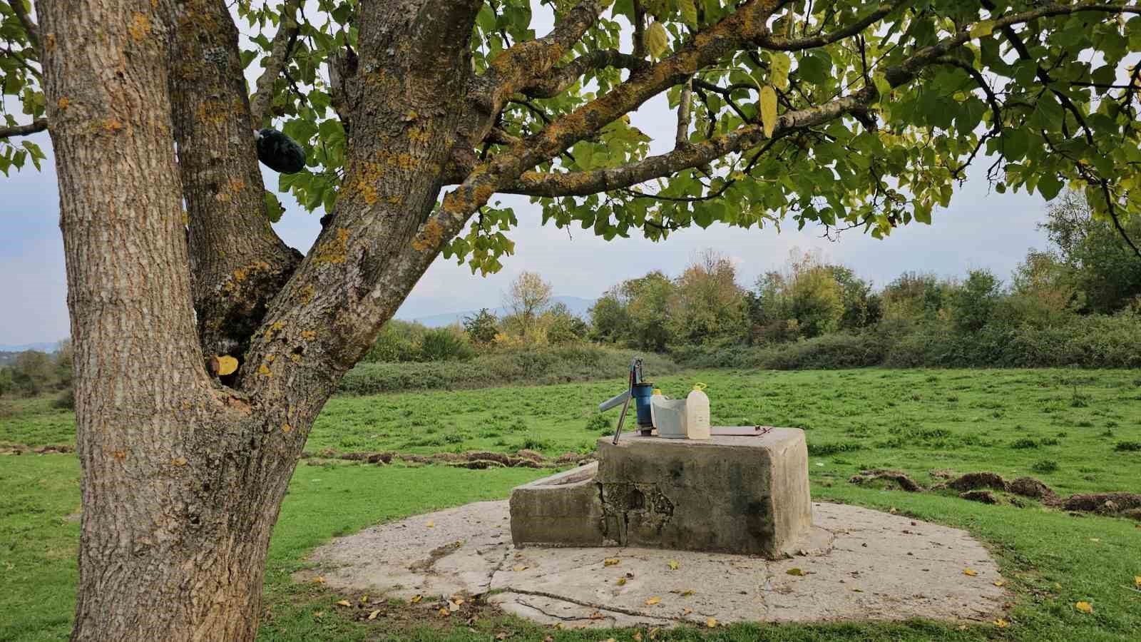 cesedi su kuyusunda bulunan 17 yasindaki hasretin katil zanlisina muebbet hapis cezasi talebi 0 GLyhIhfq