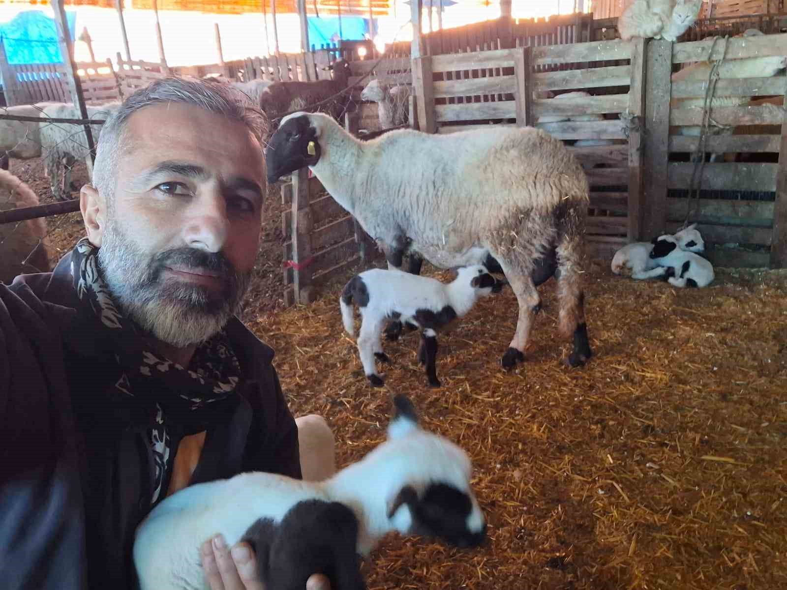 cesme sakizi ile fransiz kocunu birlestirdi verimi katladi 1 BYmqL4s4