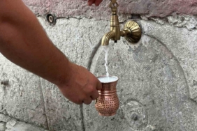 Bakan Çiftçi: "Türkiye’de sahipsiz sokak hayvanlarının yüzde 92,35’i artık barınaklarda" 3 thumbnail