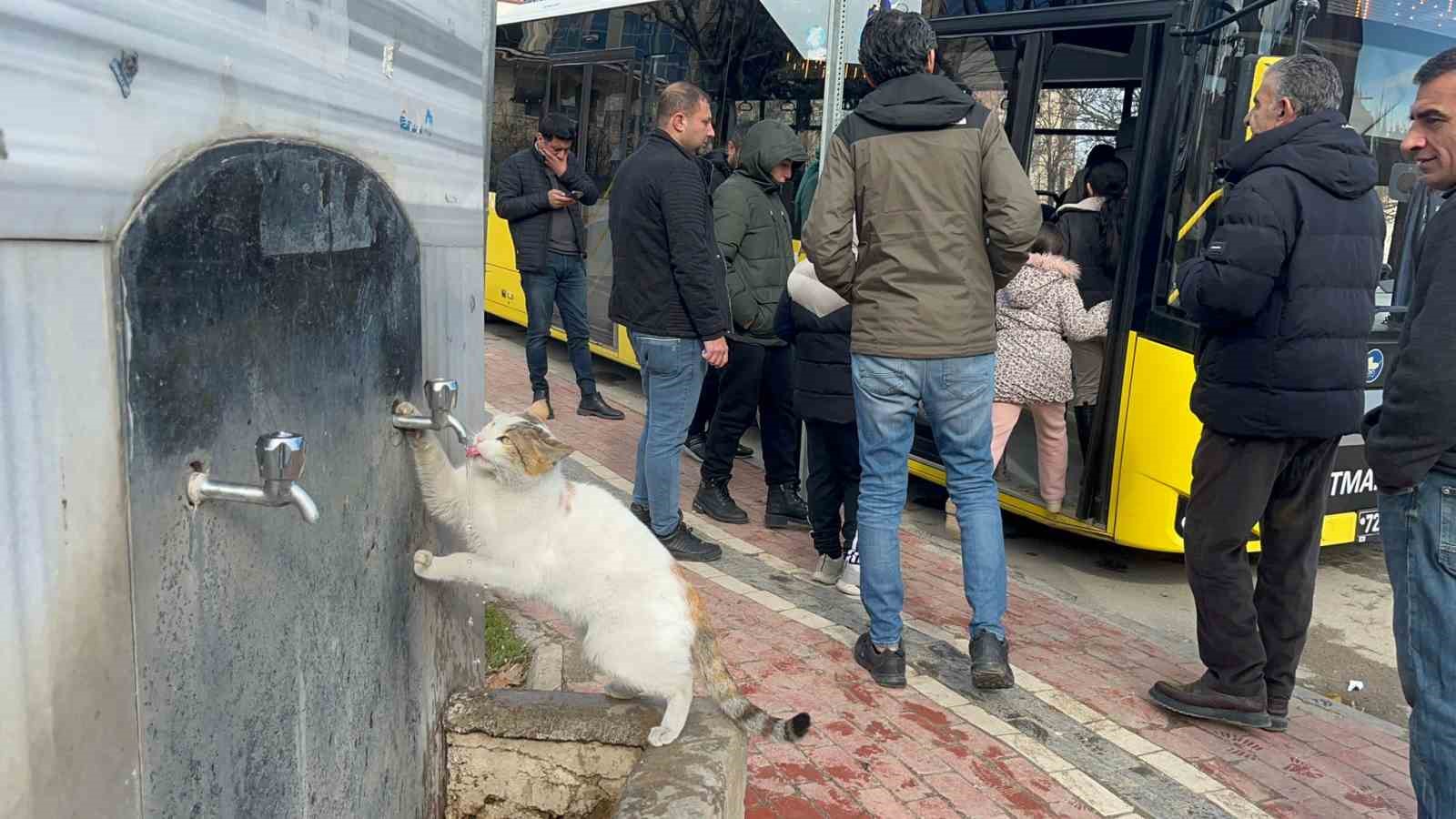 Çeşmeye patisini dayayan kedi, vatandaşların musluğu açmasıyla kana kana su içti 4 cesmeye patisini dayayan kedi vatandaslarin muslugu acmasiyla kana kana su icti 0 APMP5DEI