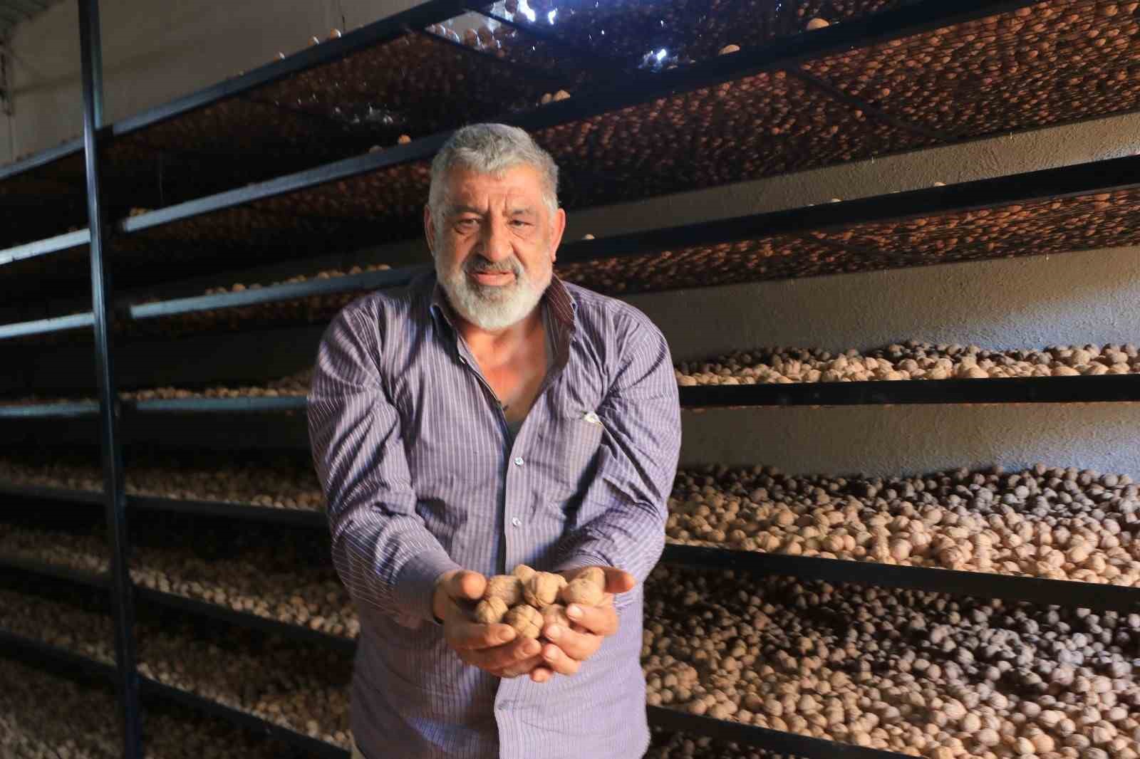 ceviz uretimiyle avrupadaki maasindan daha cok kazaniyor 1