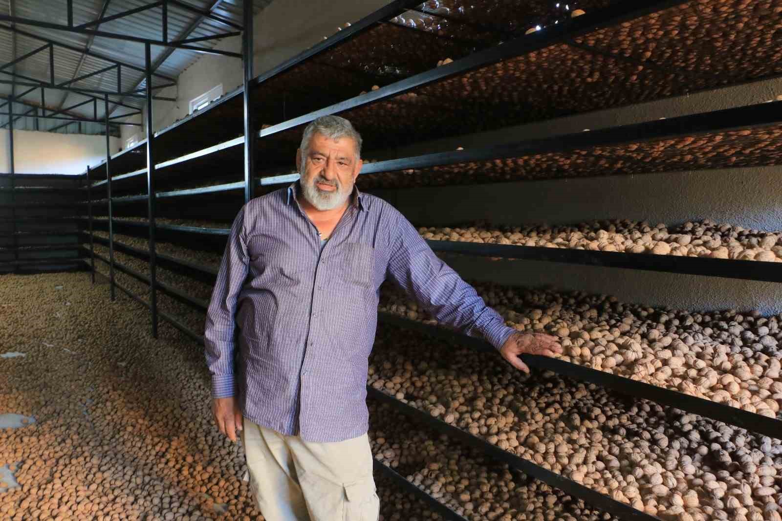 ceviz uretimiyle avrupadaki maasindan daha cok kazaniyor 2 gJnrEiu2