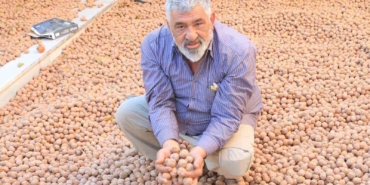 ceviz-uretimiyle-avrupadaki-maasindan-daha-cok-kazaniyor-pwqGTWLD.jpg