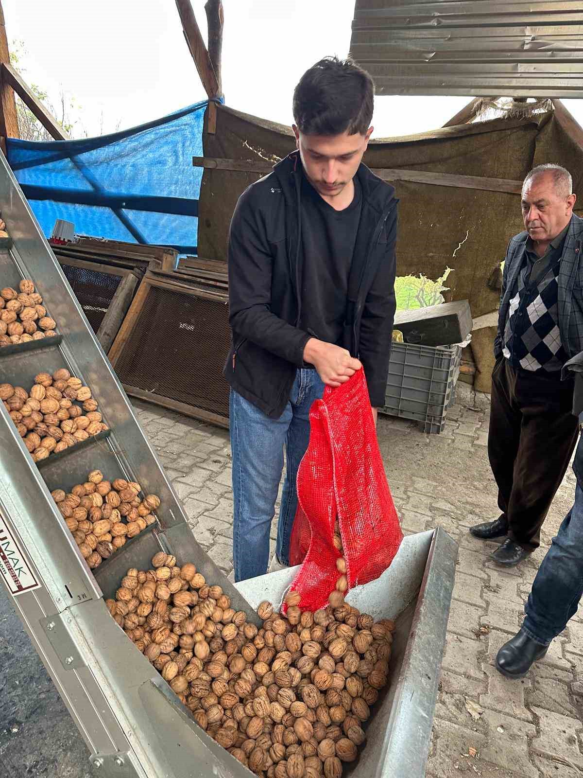 cevizle yasam sartlari degisen koyde istanbullular da bahce kuruyor 3 YXqIc7Ut