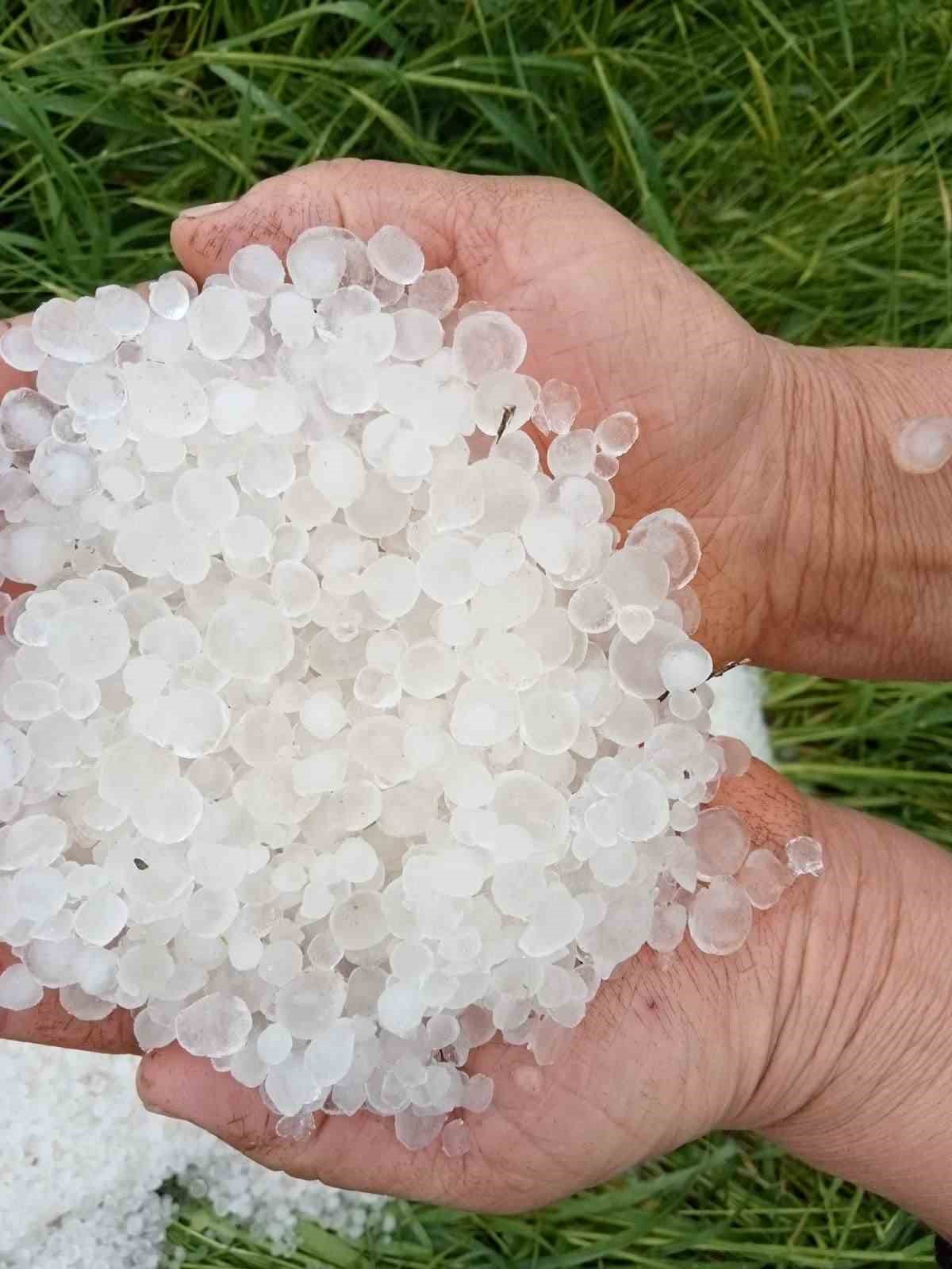 cevreyi beyaza buruyen findik buyuklugundeki dolu tarim arazilerini vurdu 8 WS1DjhAa
