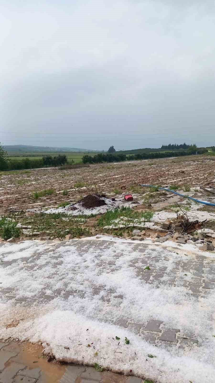 cevreyi beyaza buruyen findik buyuklugundeki dolu tarim arazilerini vurdu 9 FZ2OFmS7