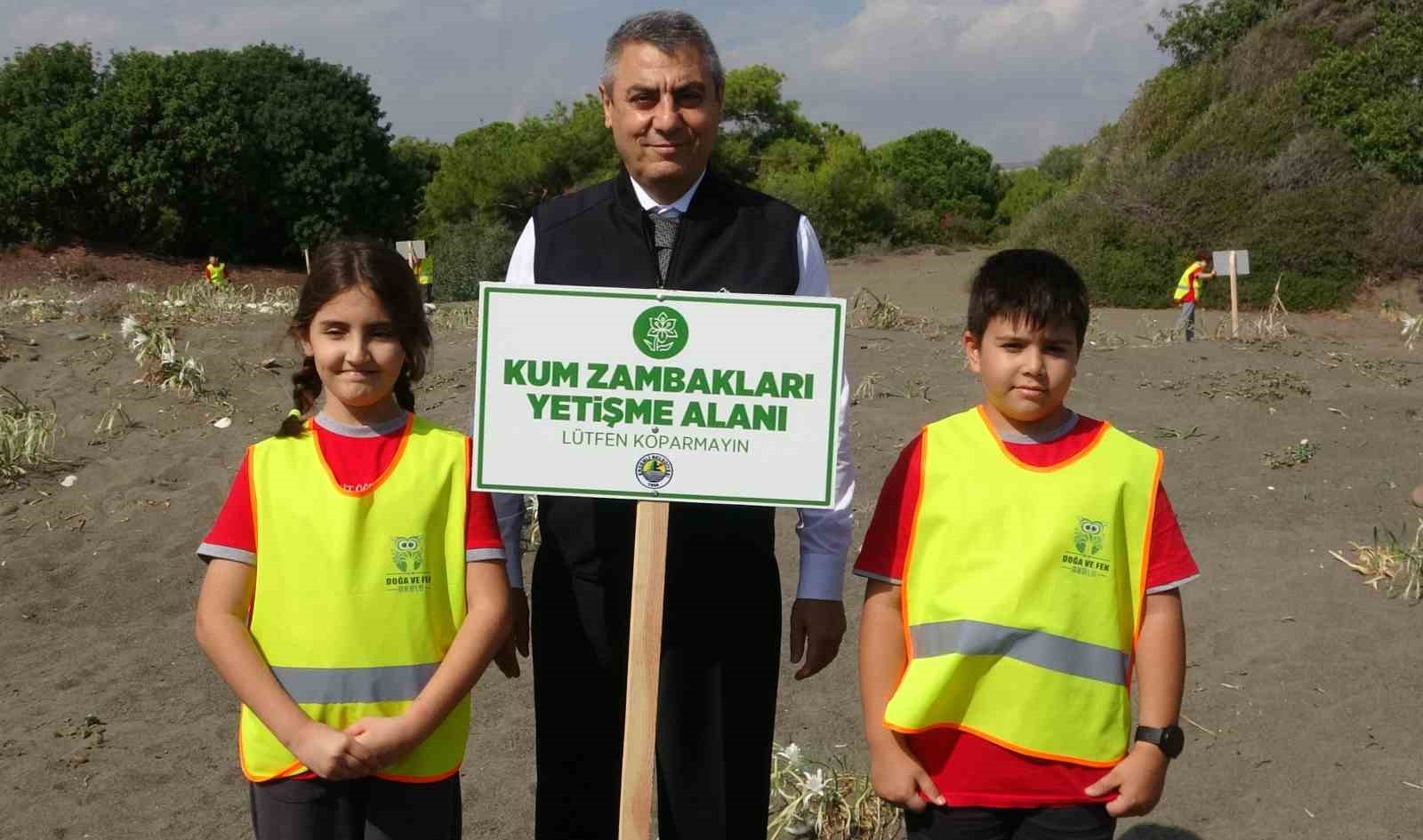 cezasi 2 milyon 800 bin tlye kadar cikiyor akdenizin guzelligi kum zambaklari koruma altina jsuyh8GO