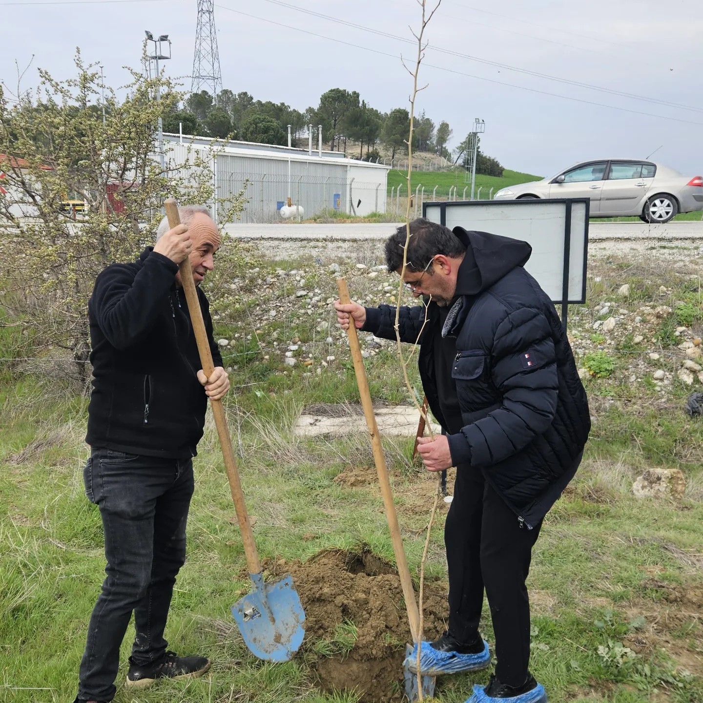 chpli baskandan galoslu fidan dikimi 1 nBi5GmE1