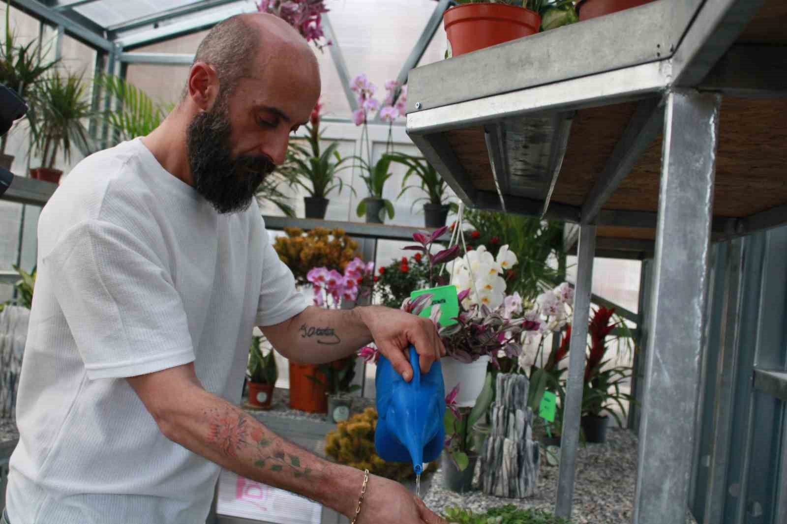 cicek doktoru ersan insanlar bitkileriyle ilgili yasamis olduklari sorunlari bana iletiyor ben de onlara H1RupeJd