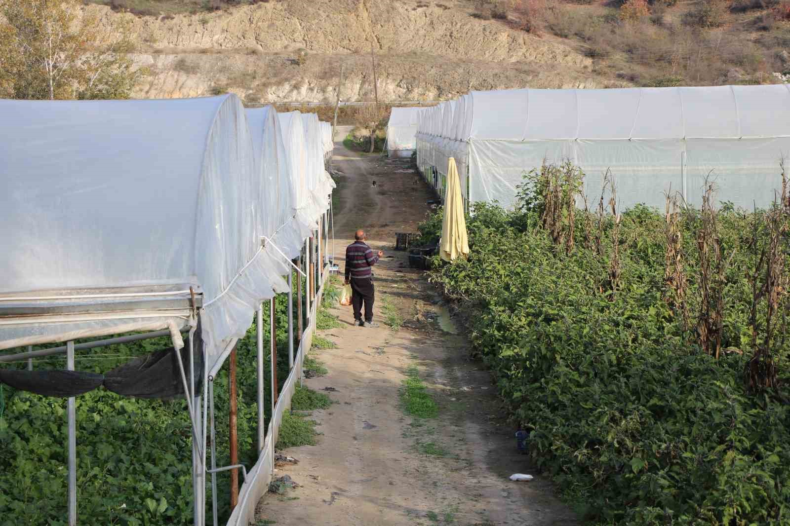 ciftci ile tilkinin sira disi dostlugu serasini koruyan tilkiyi et ve donerle besliyor 5 mDOV3yuX