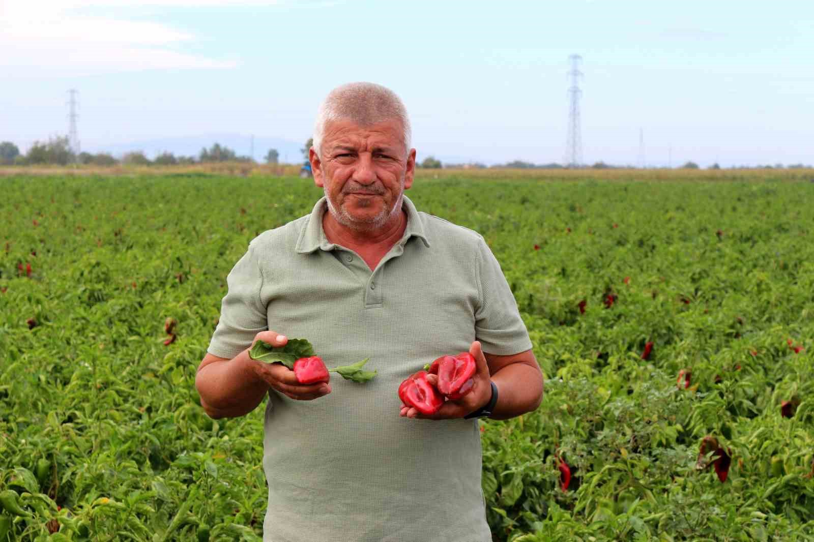 ciftcilerden cagri uretim maliyetleri baskilanamaz hale geldi 0 HMcBRuEI
