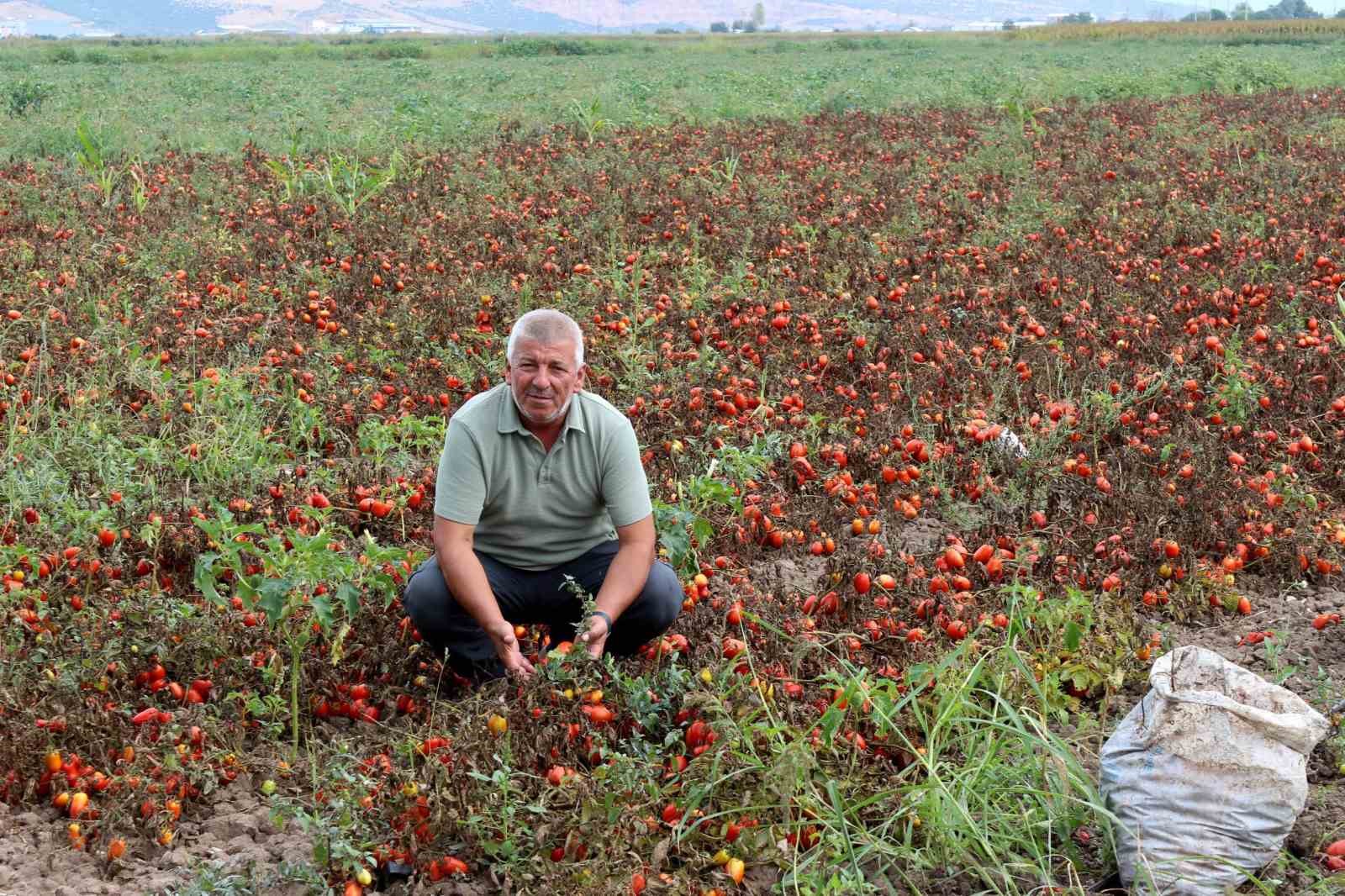 ciftcilerden cagri uretim maliyetleri baskilanamaz hale geldi 1 AclFLGT8