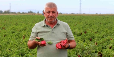 ciftcilerden-cagri-uretim-maliyetleri-baskilanamaz-hale-geldi-EvPLXBYc.jpg