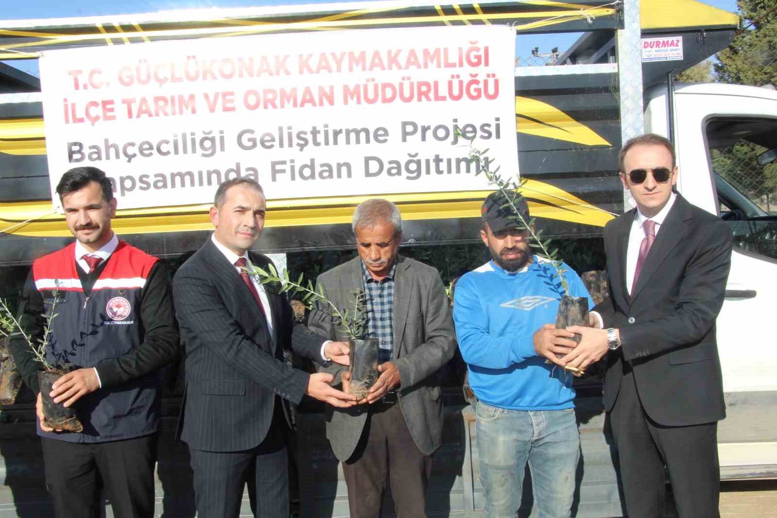 ciftcilere 4 bin zeytin fidani dagitildi 3 zj61XzDV