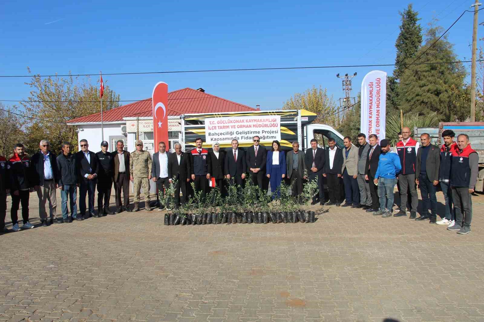 ciftcilere 4 bin zeytin fidani dagitildi 4 wr2eLwjA