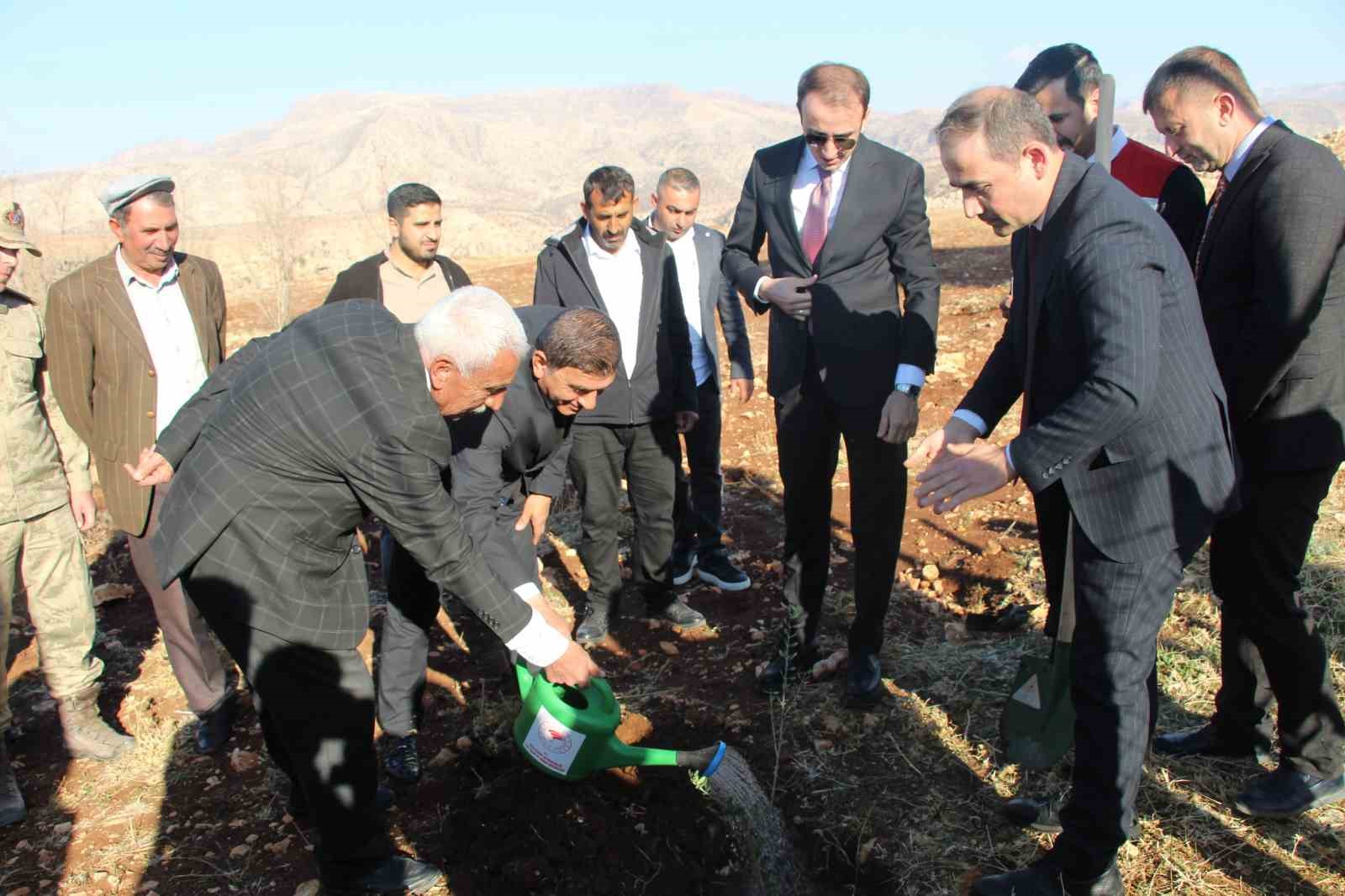 ciftcilere 4 bin zeytin fidani dagitildi 7 gwGpJYbJ