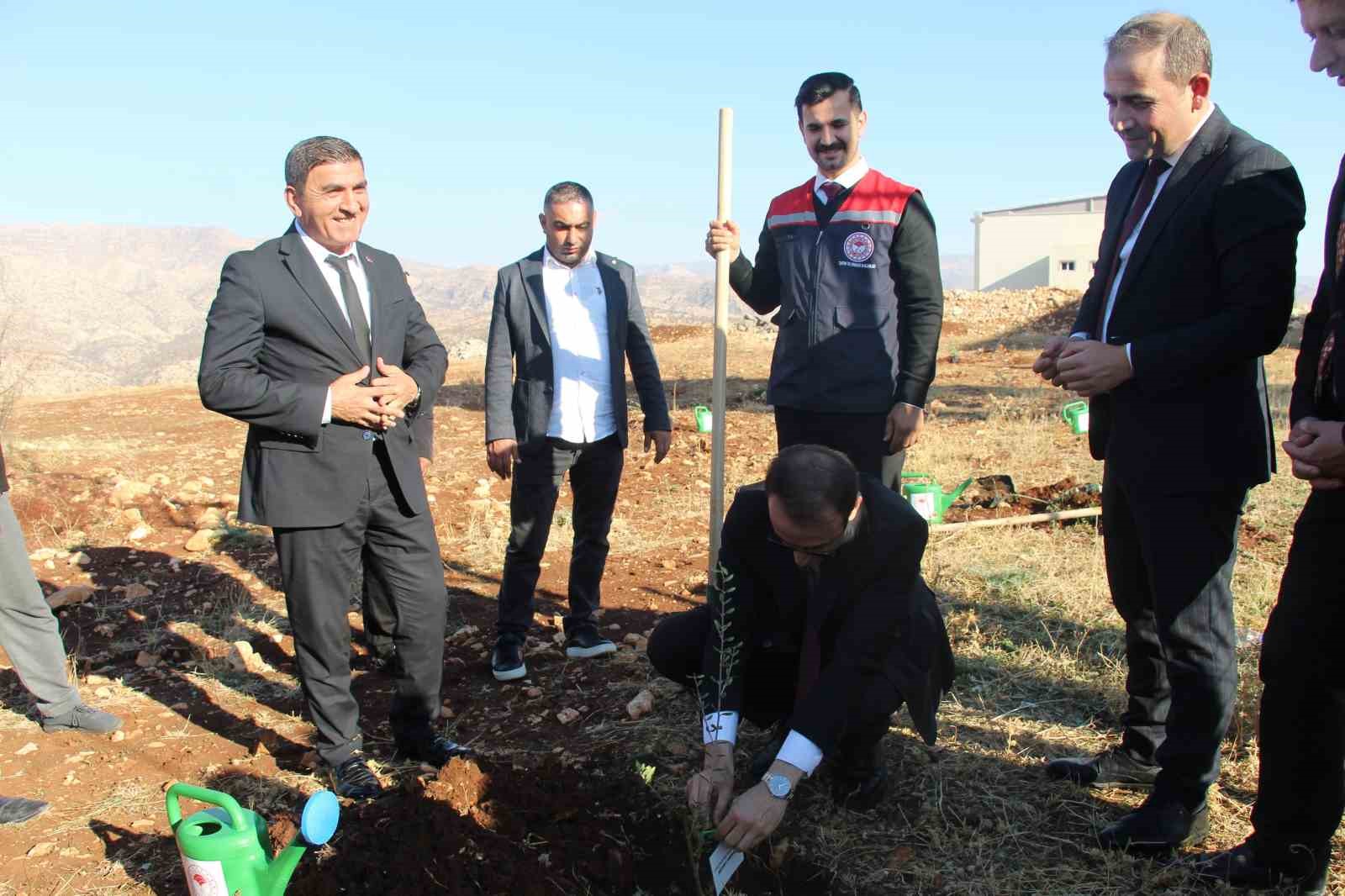 ciftcilere 4 bin zeytin fidani dagitildi 8 QeN2eJOC