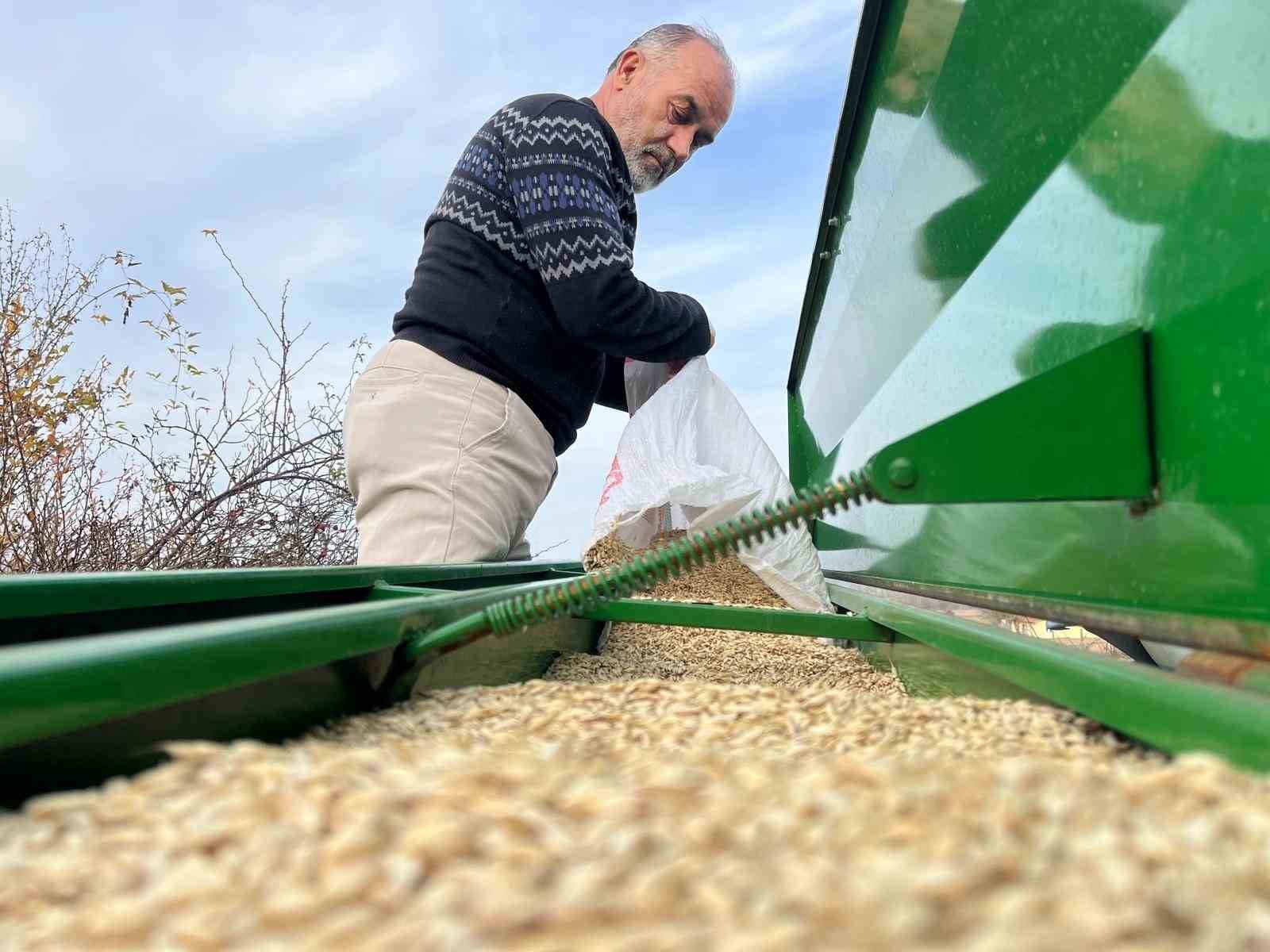 ciftcilerin ekim mesaisi basladi 12 bin yillik siyez toprakla bulustu 0 duwYi6TG