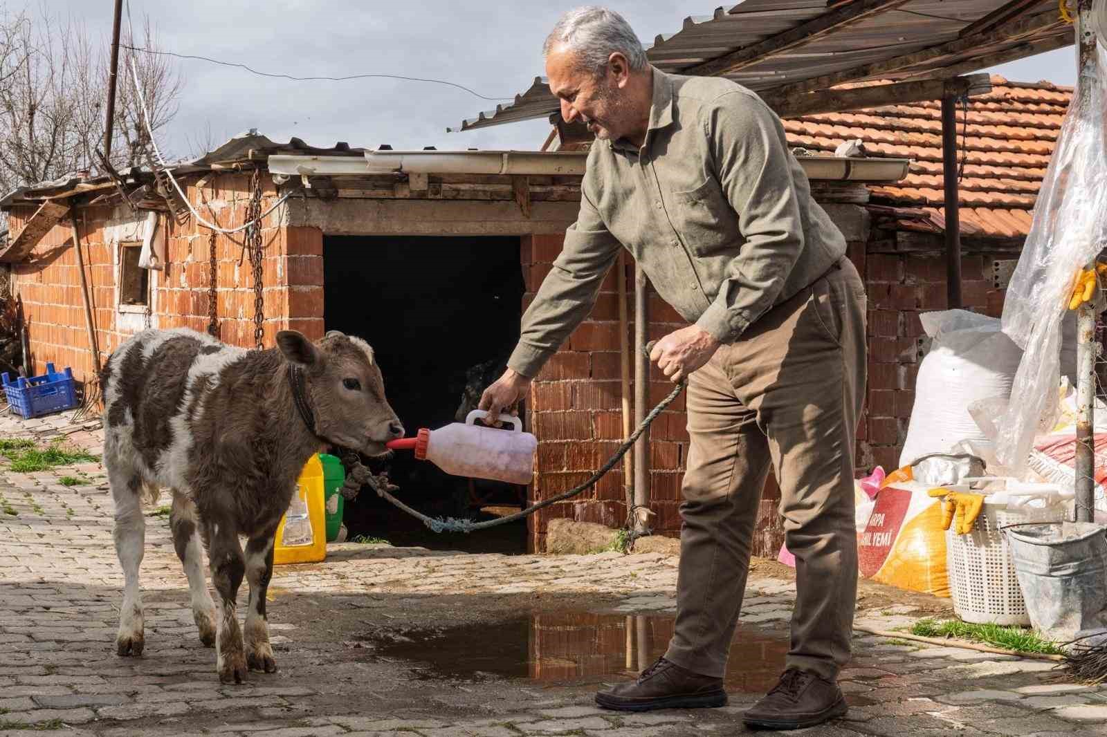 ciftciye buzagi kiti ve dezenfektan destegi 1 gSa7GwvE