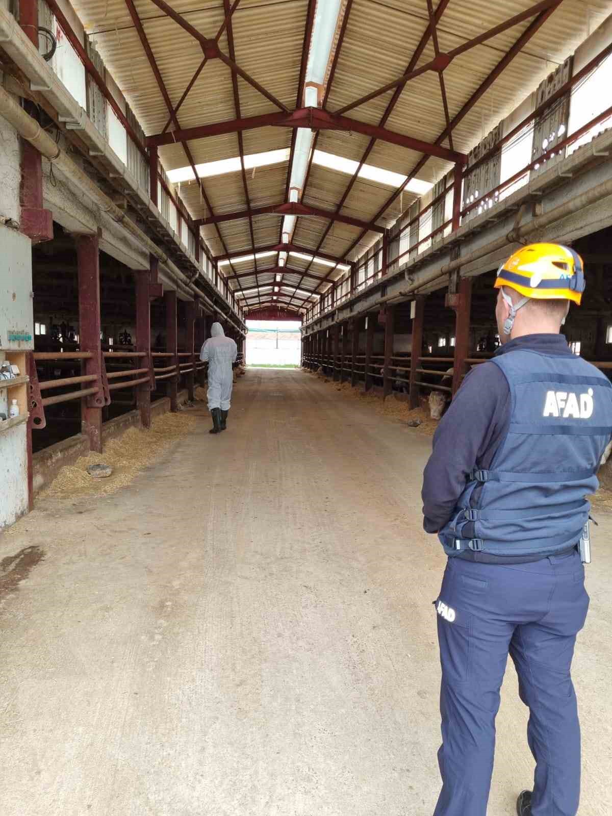 ciftlikteki gaz sizintisi ihbari ekipleri harekete gecirdi 0 2Xq1wjhV