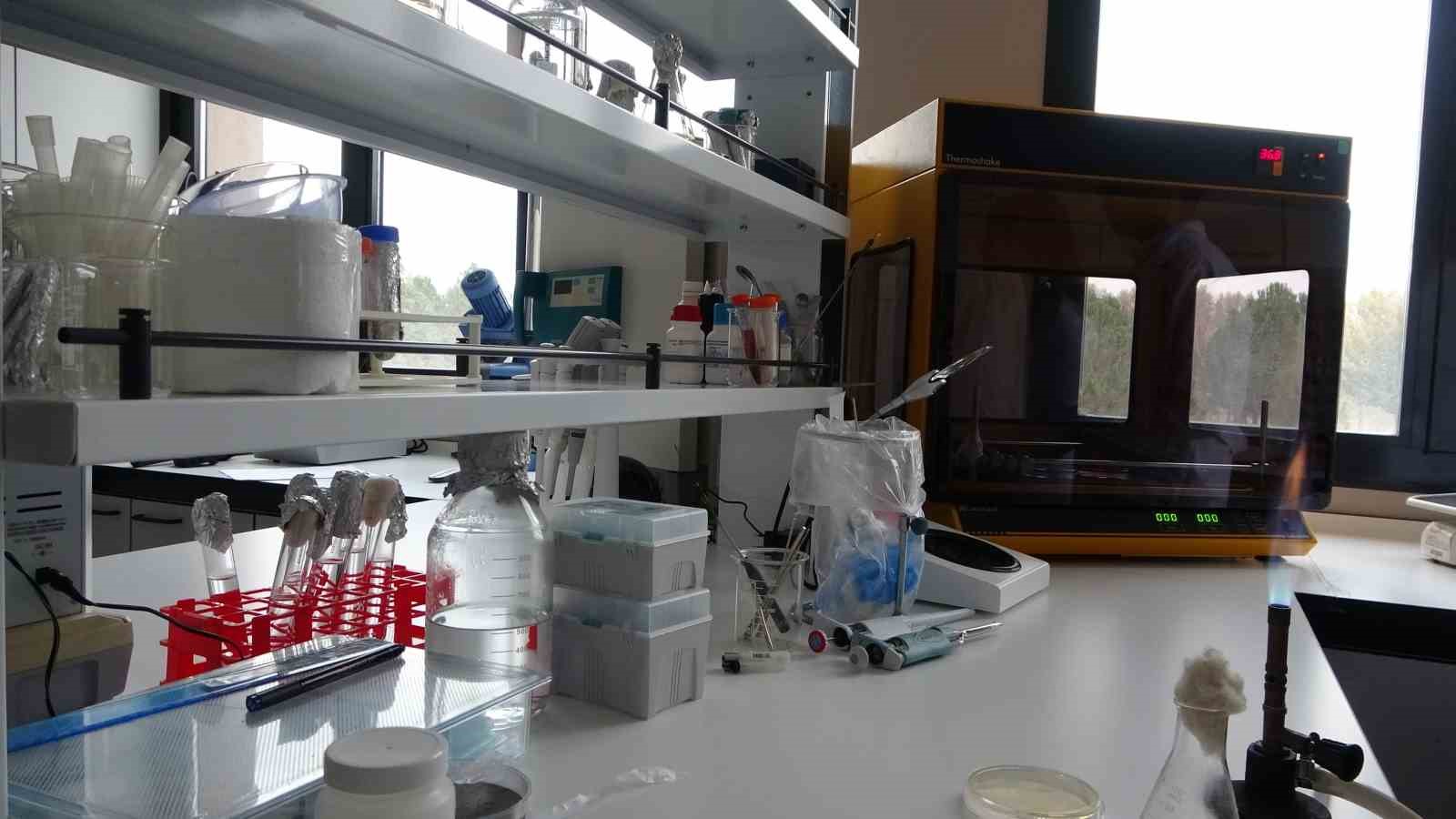 cig sut gidayla bulasan idrar yolu enfeksiyonlarina kapi aciyor 4