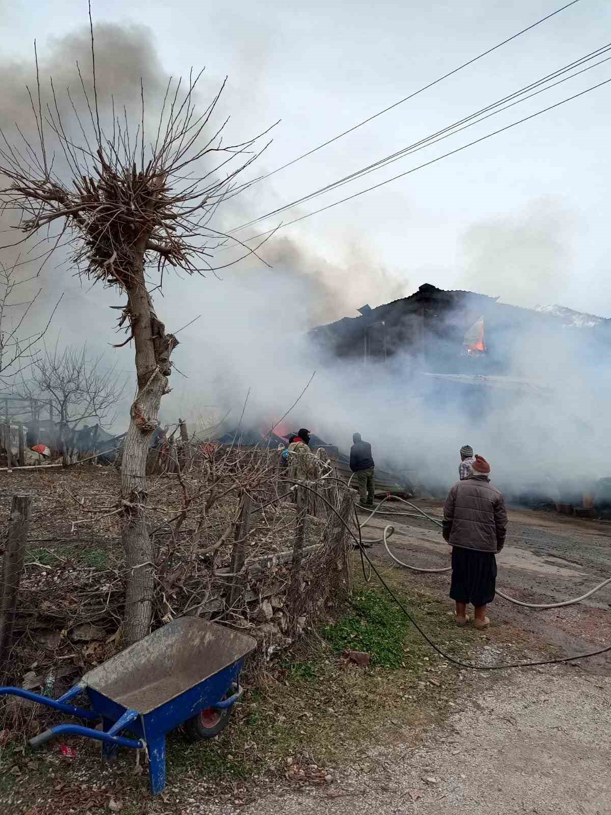 cikan yanginda ev kule dondu 1 kisi dumandan etkilendi 3 hayvan telef oldu 6 SnaVrpJ7