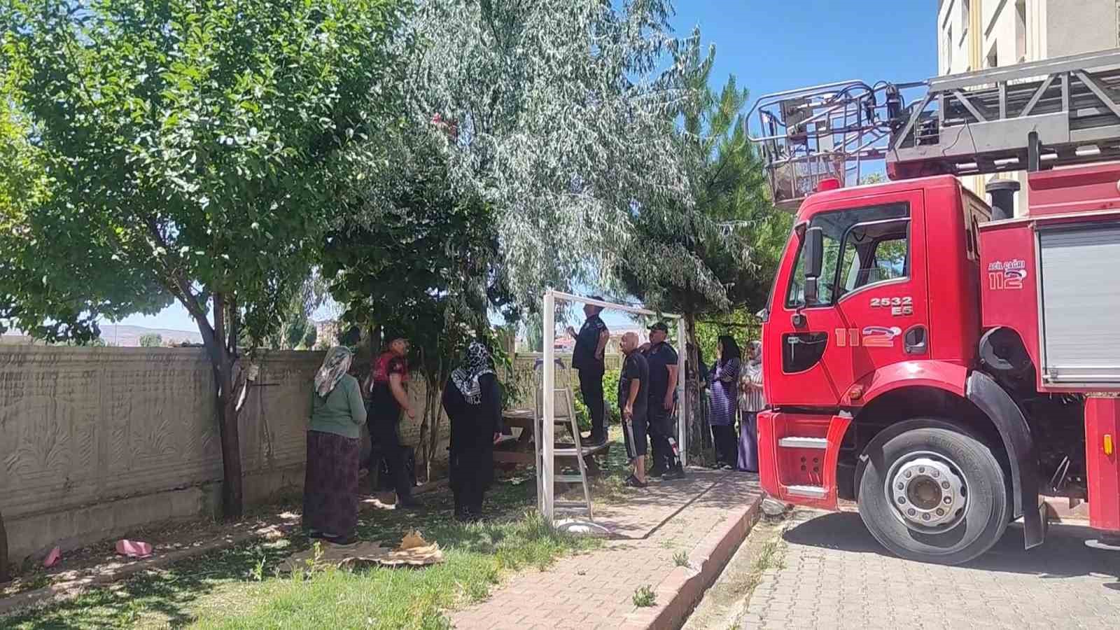 ciktigi agacta mahsur kalan otizmli cocuk itfaiye ekiplerince kurtarildi 1 9i9PV7i1