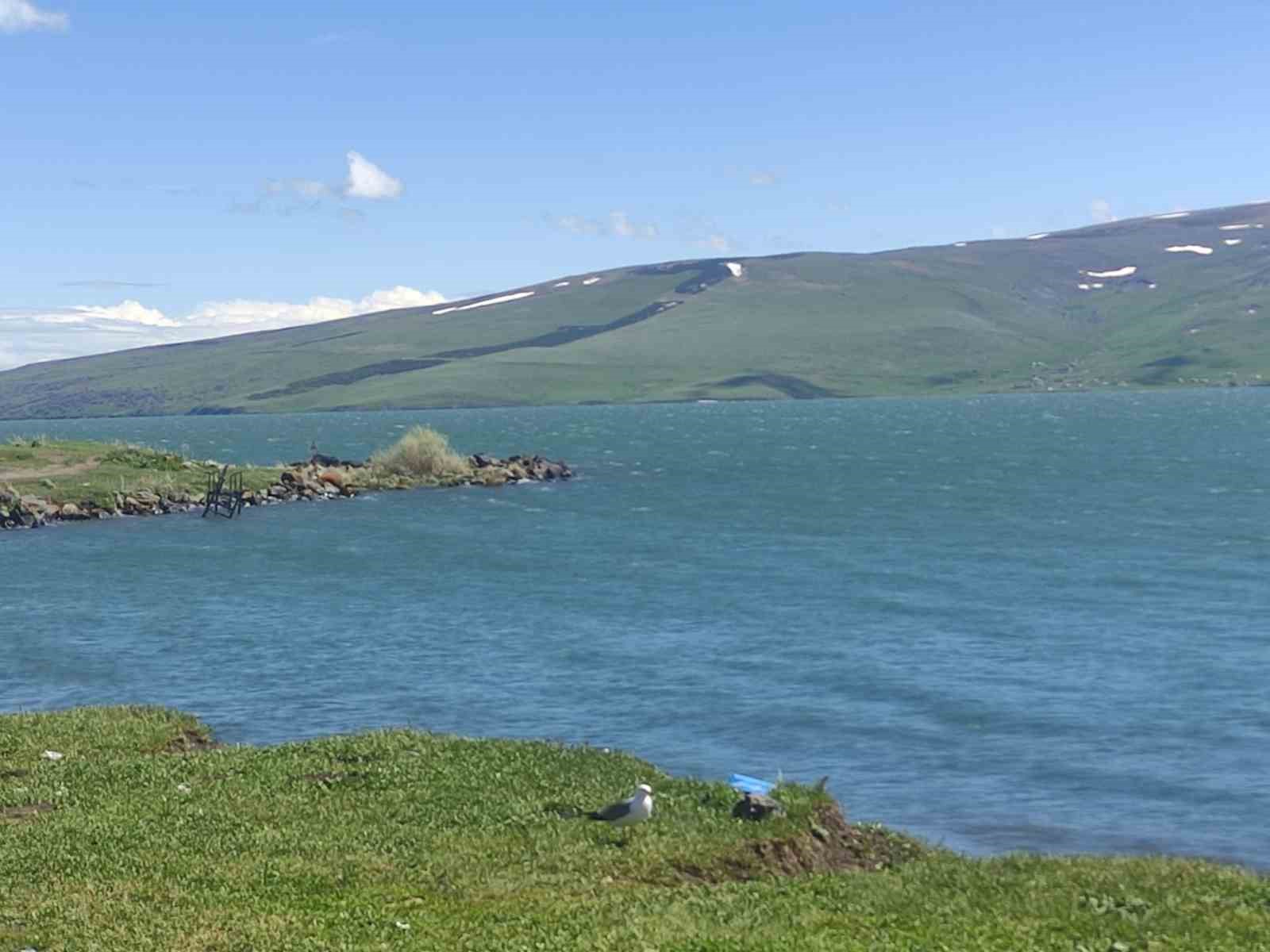 Çıldır Gölü’nün su seviyesi yükseldi 6 cildir golunun su seviyesi yukseldi 2 OAw1Npv3