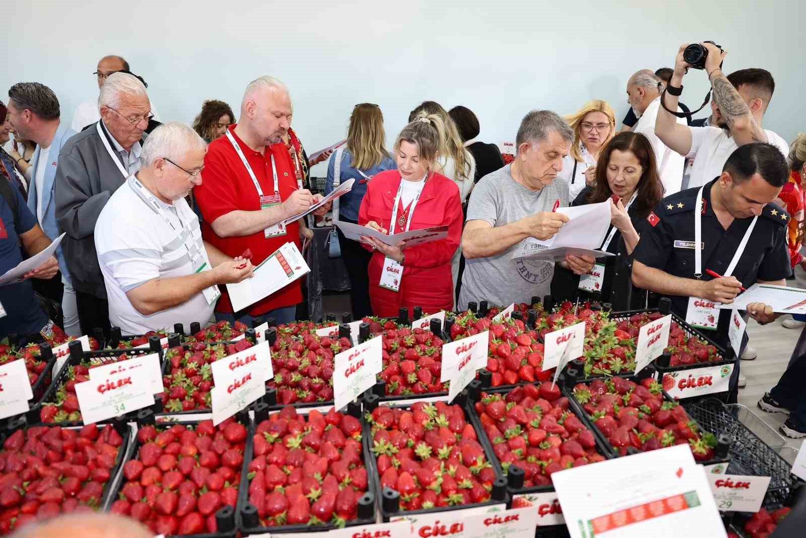 Çilek tadında festival, milyonu aşkın misafir ağırladı 10 cilek tadinda festival milyonu askin misafir agirladi 6 sHCDE6An