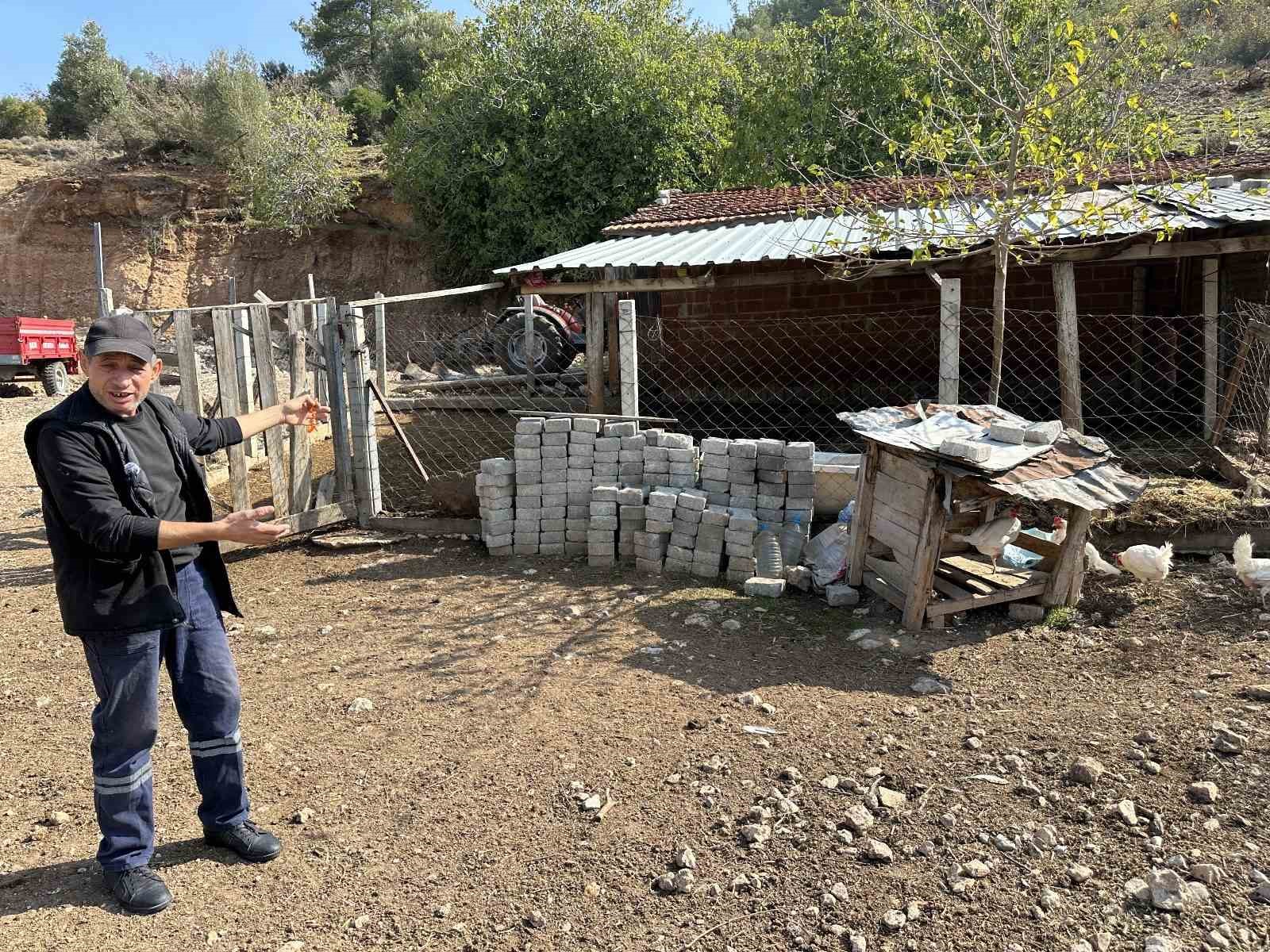 cimere yapilan inek ve tavuklar serbest dolasiyor salgin hastalik riski var sikayeti bolge sakinlerini 3K4CpTIH