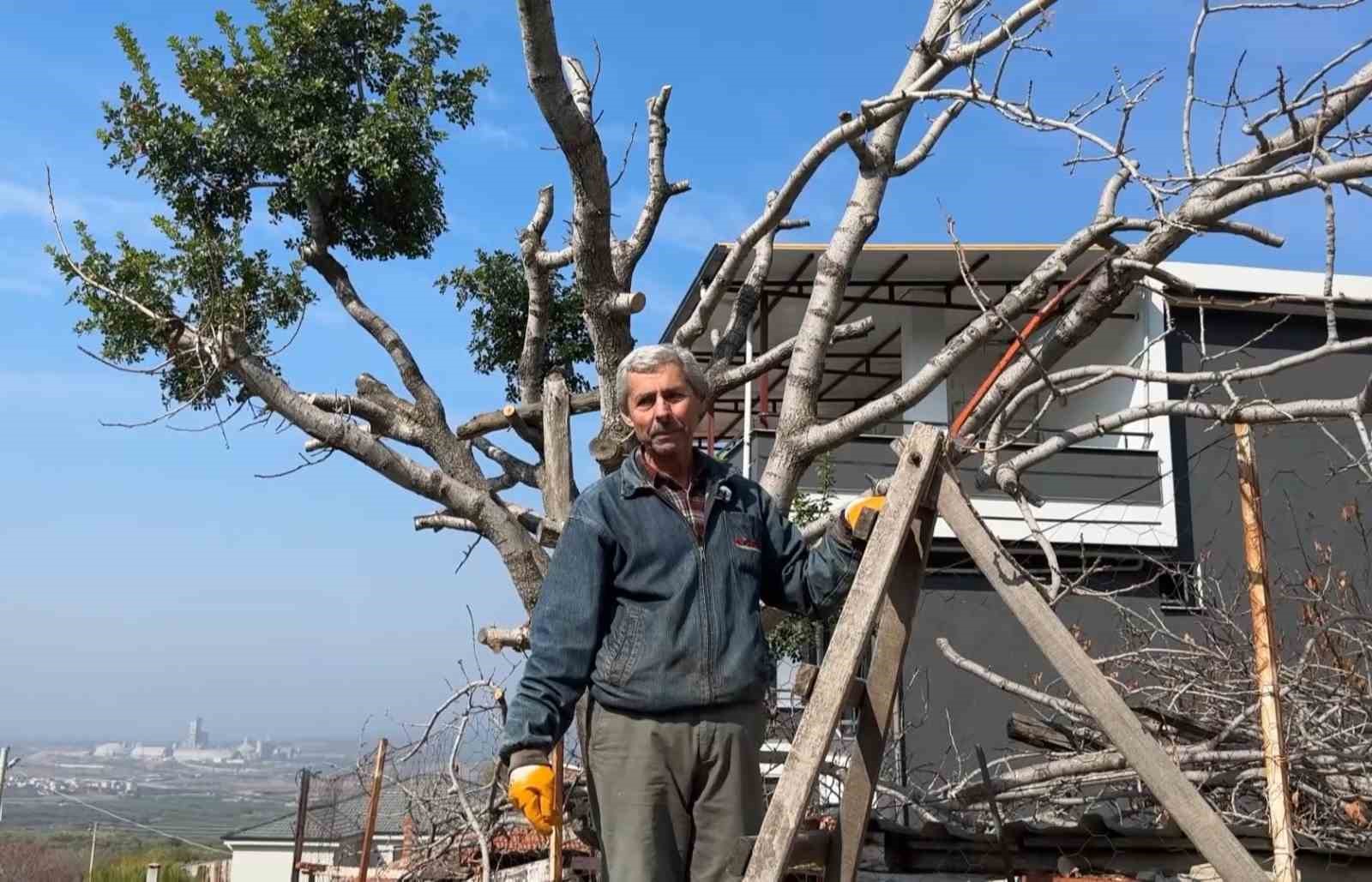 cimere yapilan inek ve tavuklar serbest dolasiyor salgin hastalik riski var sikayeti bolge sakinlerini bAh6DWqi
