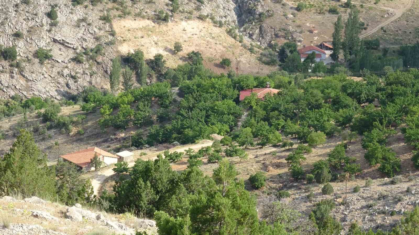 Cinayete kurban giden Aysel Yıldırım için 1600 rakımlı dağlık alanda arama 4 cinayete kurban giden aysel yildirim icin 1600 rakimli daglik alanda arama 0 y1JIJb1A