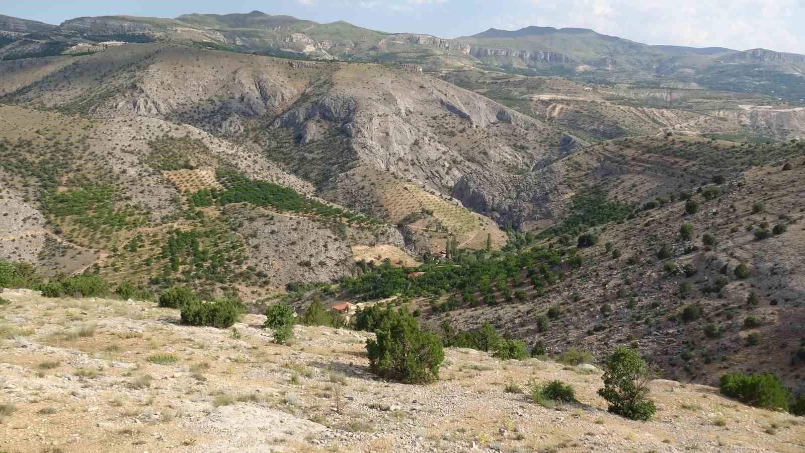Cinayete kurban giden Aysel Yıldırım için 1600 rakımlı dağlık alanda arama 7 cinayete kurban giden aysel yildirim icin 1600 rakimli daglik alanda arama 3 YKUf6nDT