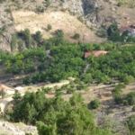 cinayete-kurban-giden-aysel-yildirim-icin-1600-rakimli-daglik-alanda-arama-WLa1b2rH.jpg