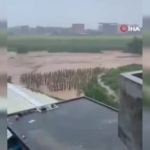 cinde-sel-nedeniyle-ciftliklerde-yetistirilen-900den-fazla-yilan-kacti-OMSik7ls.jpg