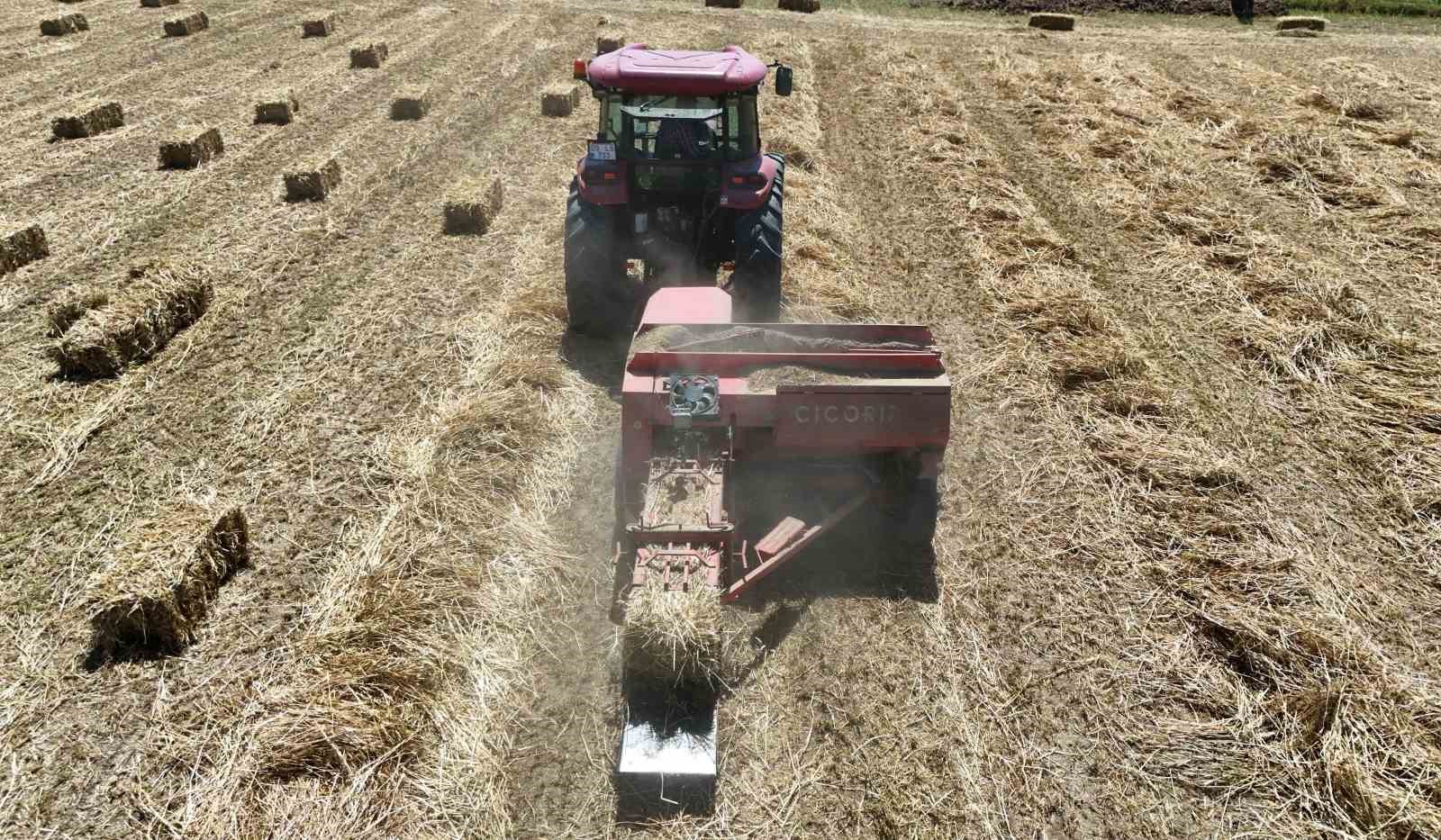 cine ovasinda balya mesaisi basladi 4 I6eaMOdc