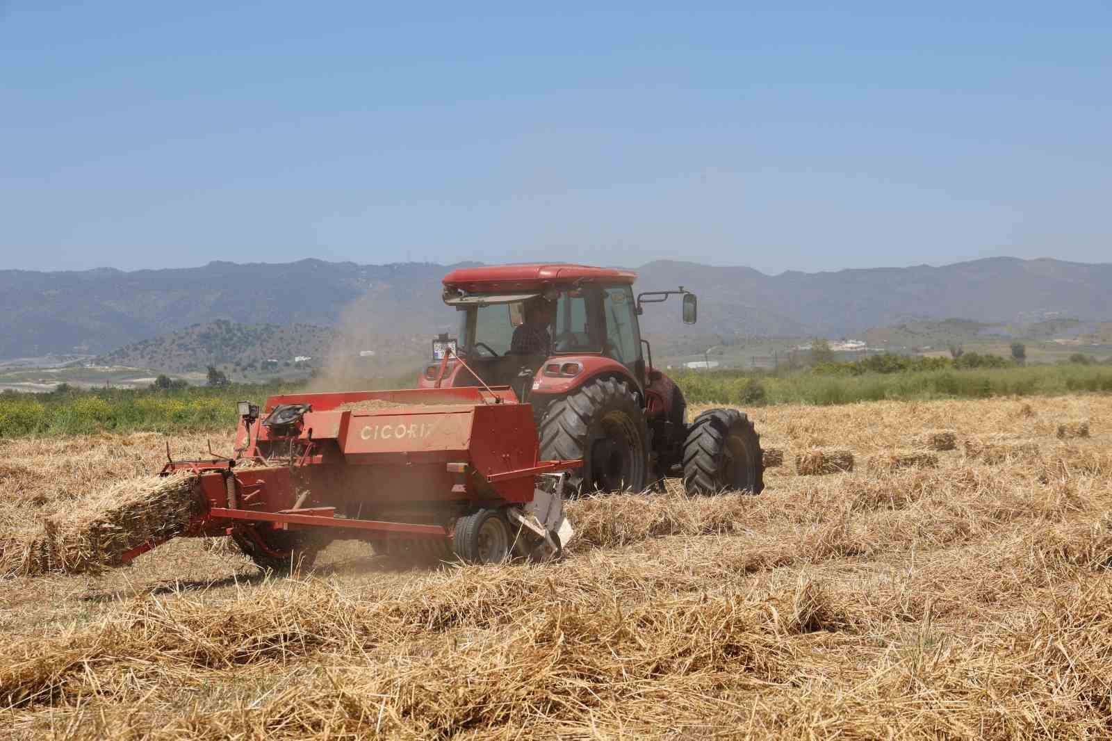 cine ovasinda balya mesaisi basladi 5