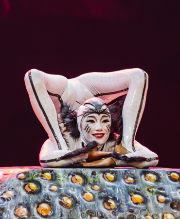 cirque-du-soleilin-boceklerin-dunyasini-anlatan-dev-yapimi-istanbulda-sahne-alacak-ZxJKasWc.jpg