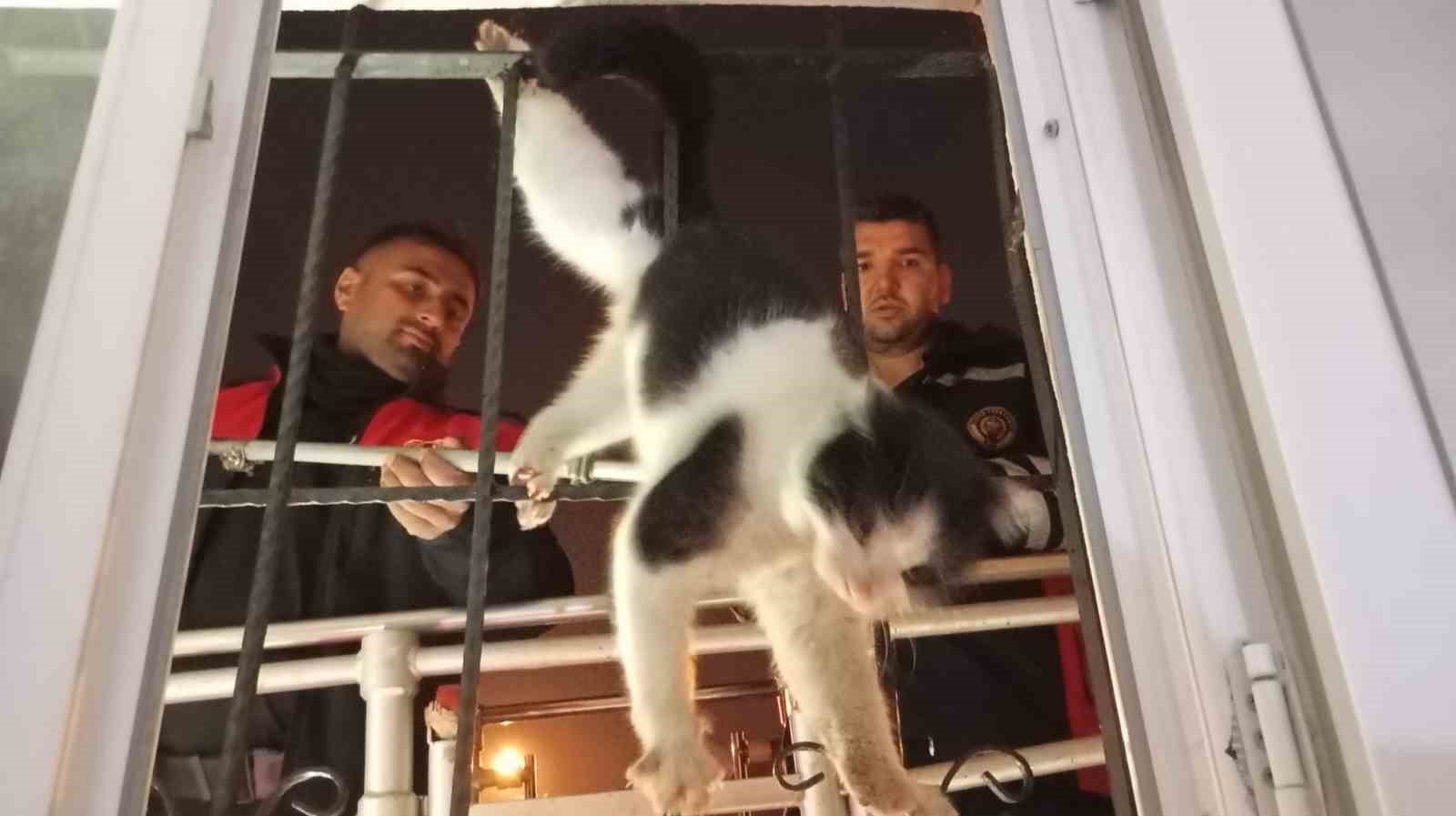 cizrede ayagi demir korkuluklara sikisan kedi icin itfaiye seferber oldu 1 7tvDXzZ2