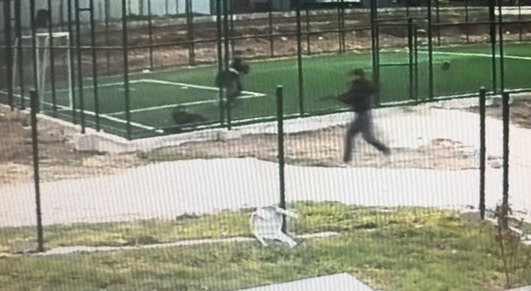 cocuk parkinda silahli dehset ates acarak kostu 0 SLZpbdh8