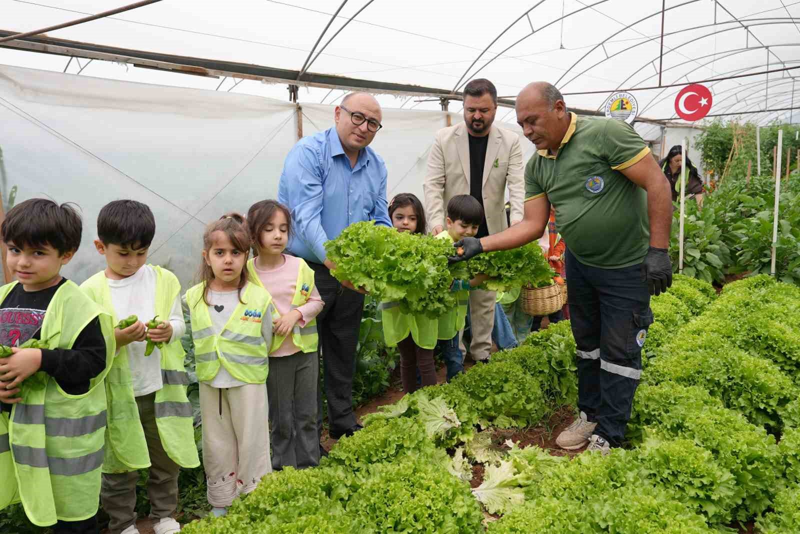 cocuk serasinda minikler yetistirdikleri sebzeleri hasat etti 3 4Gy9RbaM