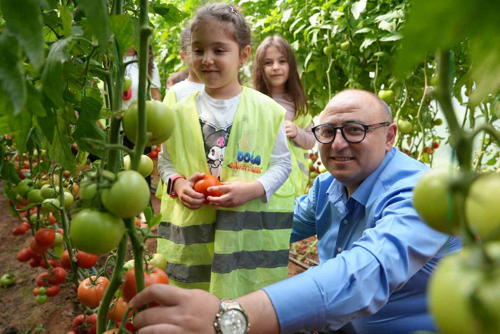 cocuk serasinda minikler yetistirdikleri sebzeleri hasat etti 4 ZbOKejVv