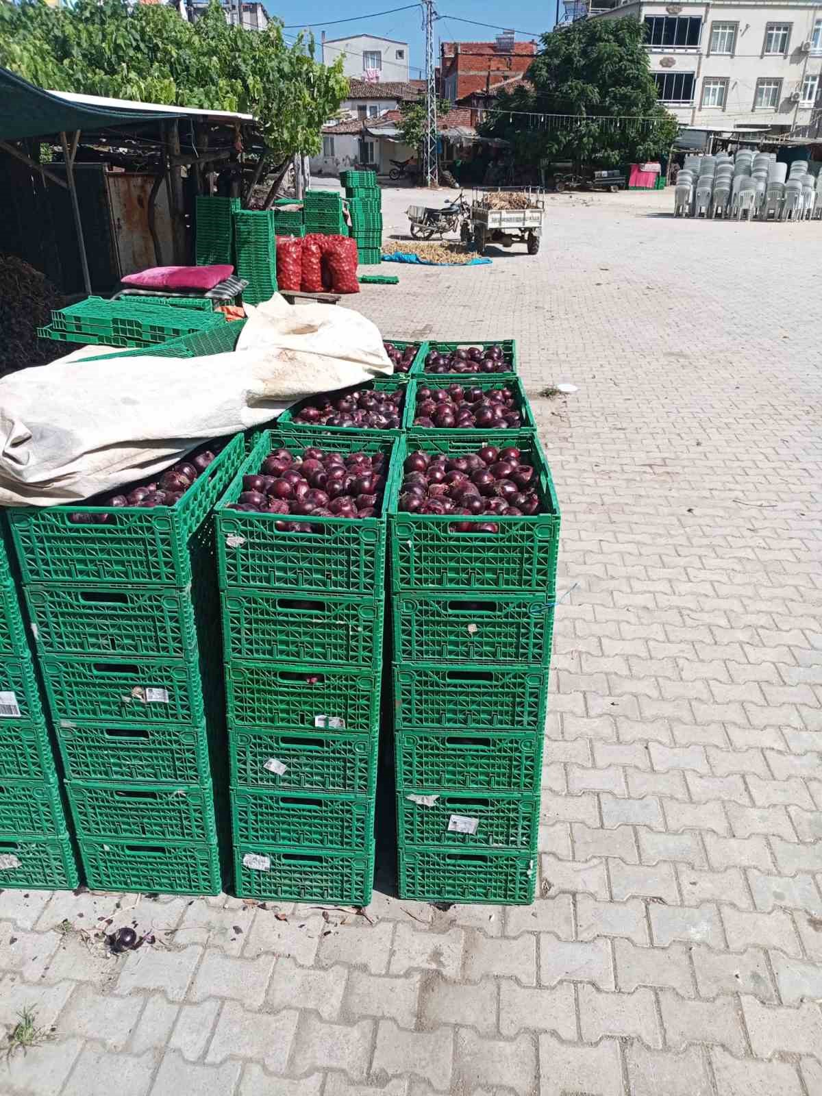 Coğrafi işaretli Kapıdağ mor soğanında hasat tamamlandı 4 cografi isaretli kapidag mor soganinda hasat tamamlandi 0 5npiABma