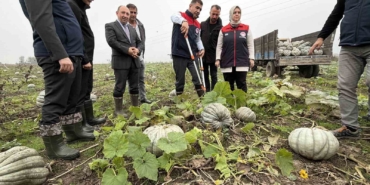 cografi-isaretli-kestane-kabagi-hasadi-basladi-7VQDbA1f.jpg
