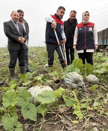 cografi-isaretli-kestane-kabagi-hasadi-basladi-7VQDbA1f.jpg
