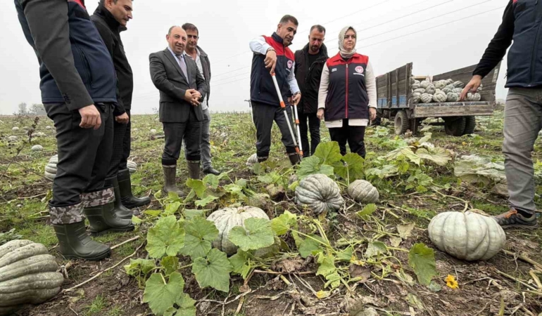 cografi-isaretli-kestane-kabagi-hasadi-basladi-7VQDbA1f.jpg