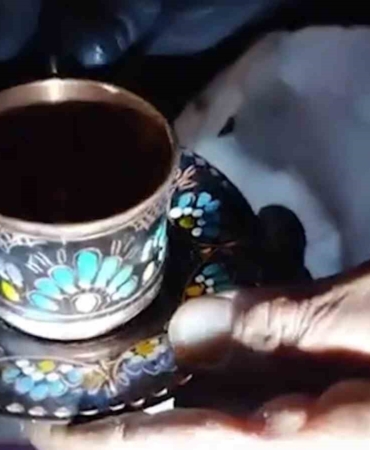 cop-cop-dolasiyorlar-bulduklari-ise-servet-degerinde-35RpjYM6.jpg