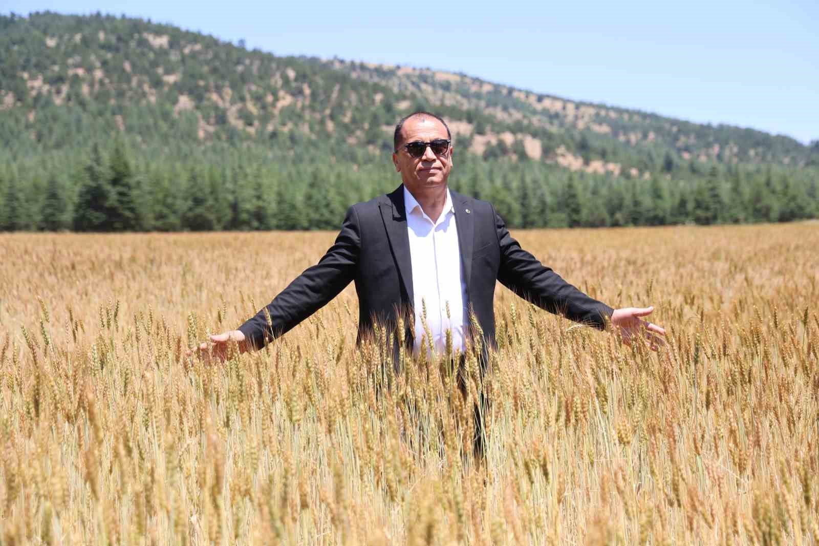 Çorak araziler belediye başkanının girişimiyle yeniden üretime kazandırıldı 5 corak araziler belediye baskaninin girisimiyle yeniden uretime kazandirildi 1