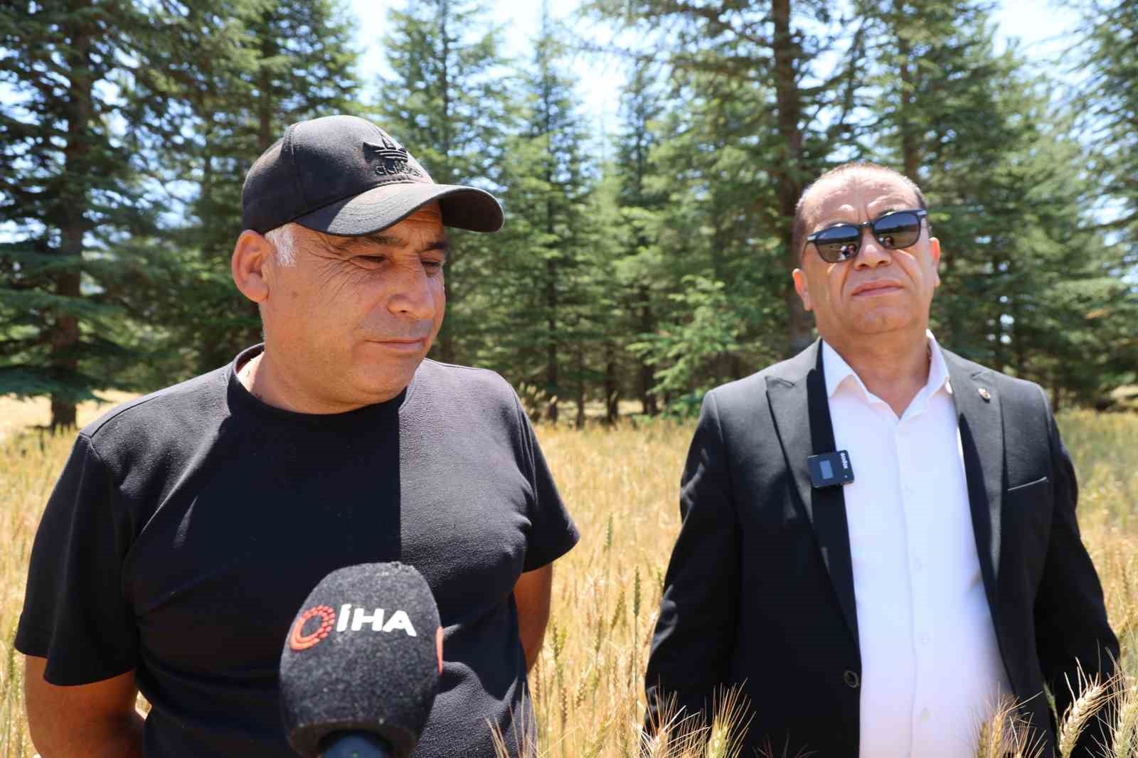 Çorak araziler belediye başkanının girişimiyle yeniden üretime kazandırıldı 7 corak araziler belediye baskaninin girisimiyle yeniden uretime kazandirildi 3 uSYfhlJT